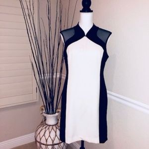 Mesh Two-Tone Evening Dress - image 1